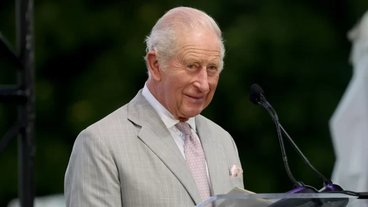 Inside King Charles’s Private Royal Jet: Rare Photos Reveal the Monarch’s In-Flight Routine and Hidden Cabin Details