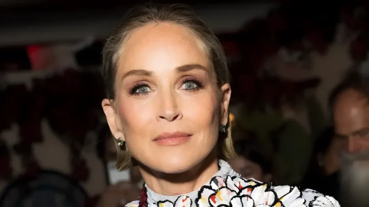 Inside Sharon Stone's $21 Million Beverly Hills Estate: Star Reveals Newest Art Addition From a Blind Swap