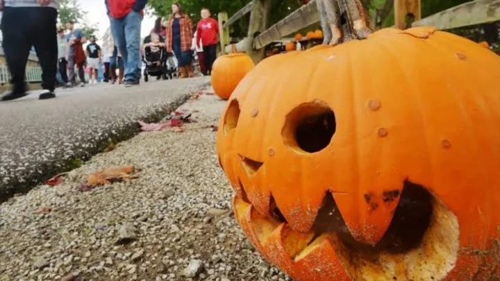 Looking for Erie Halloween Events? From ZooBOO to Haunted Mini Golf, Here Is Your Complete Seasonal Guide