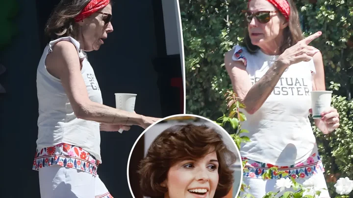 Susan Saint James Dies at 80: The Heartbreaking Final Birthday Photos and Secret Cancer Battle of the Kate & Allie Icon