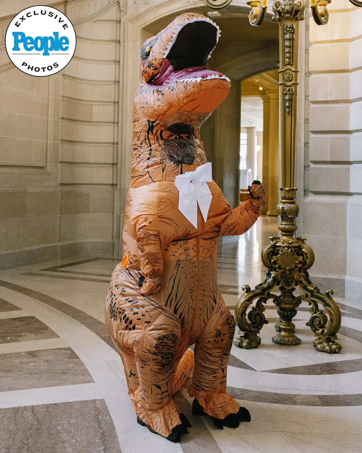 Dinosaur wedding