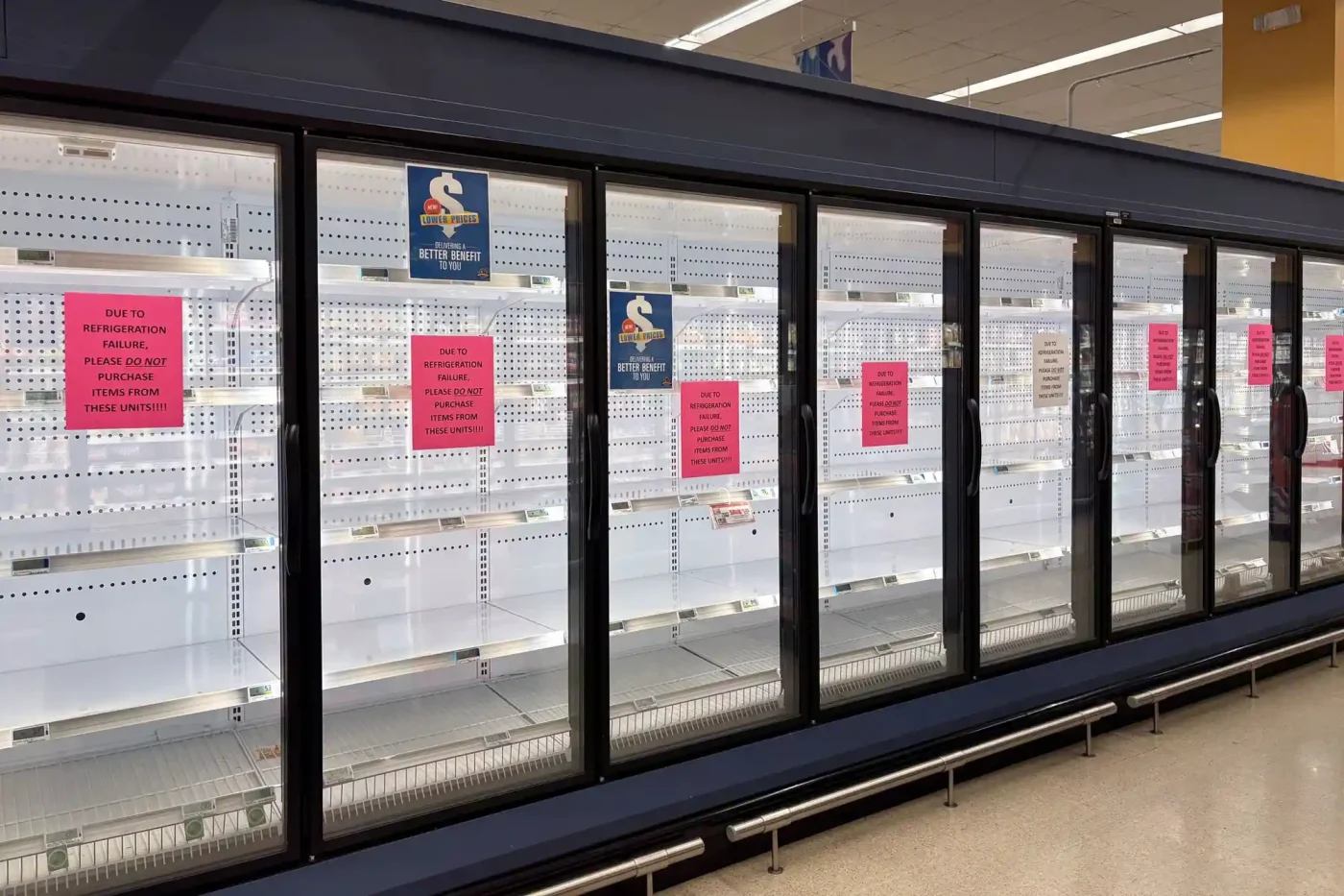 empty freezers at grocery stores