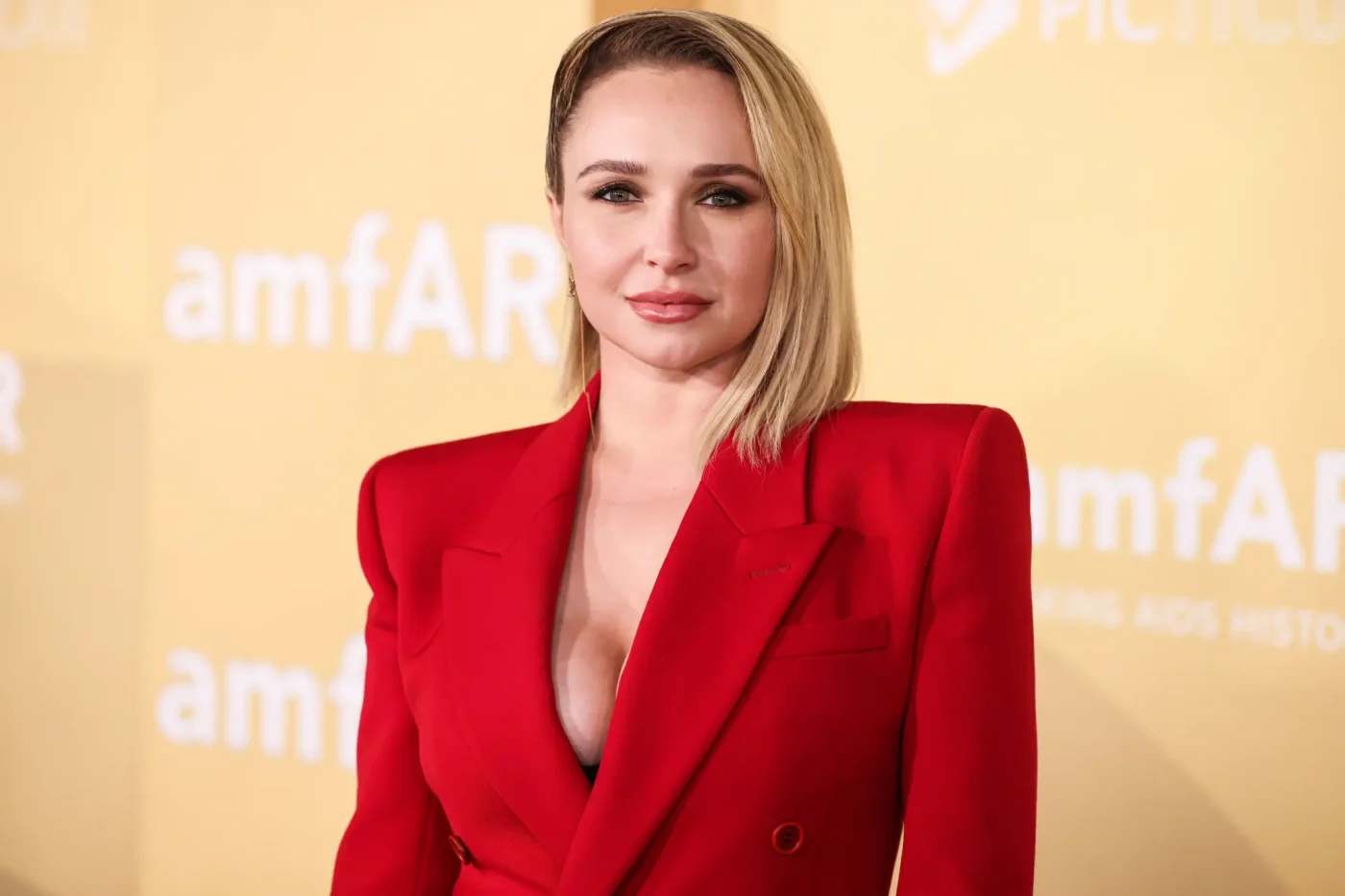 Hayden Panettiere at the amfAR Gala Los Angeles.