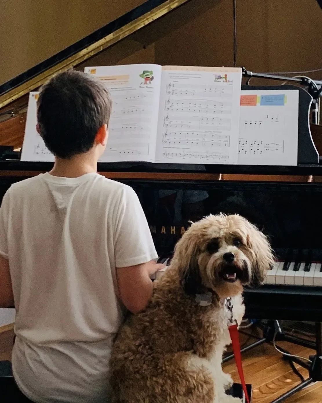 Jasper Paisley sits at a piano with a dog in a 2019 photo.