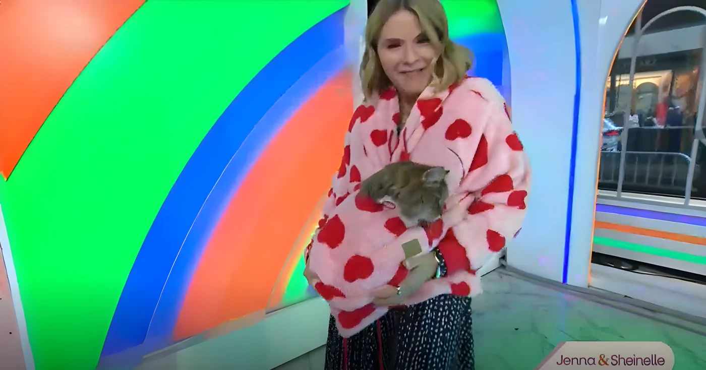 Jenna Bush Hager showed off a unique outfit on air