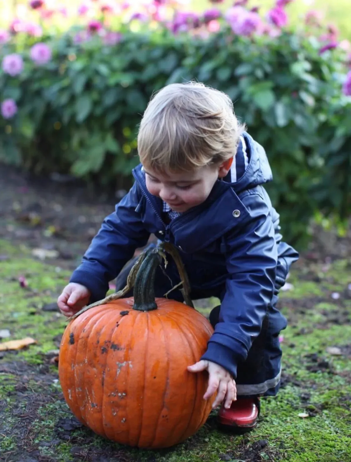 Kate Middleton shares a throwback photo of Prince Louis on Halloween