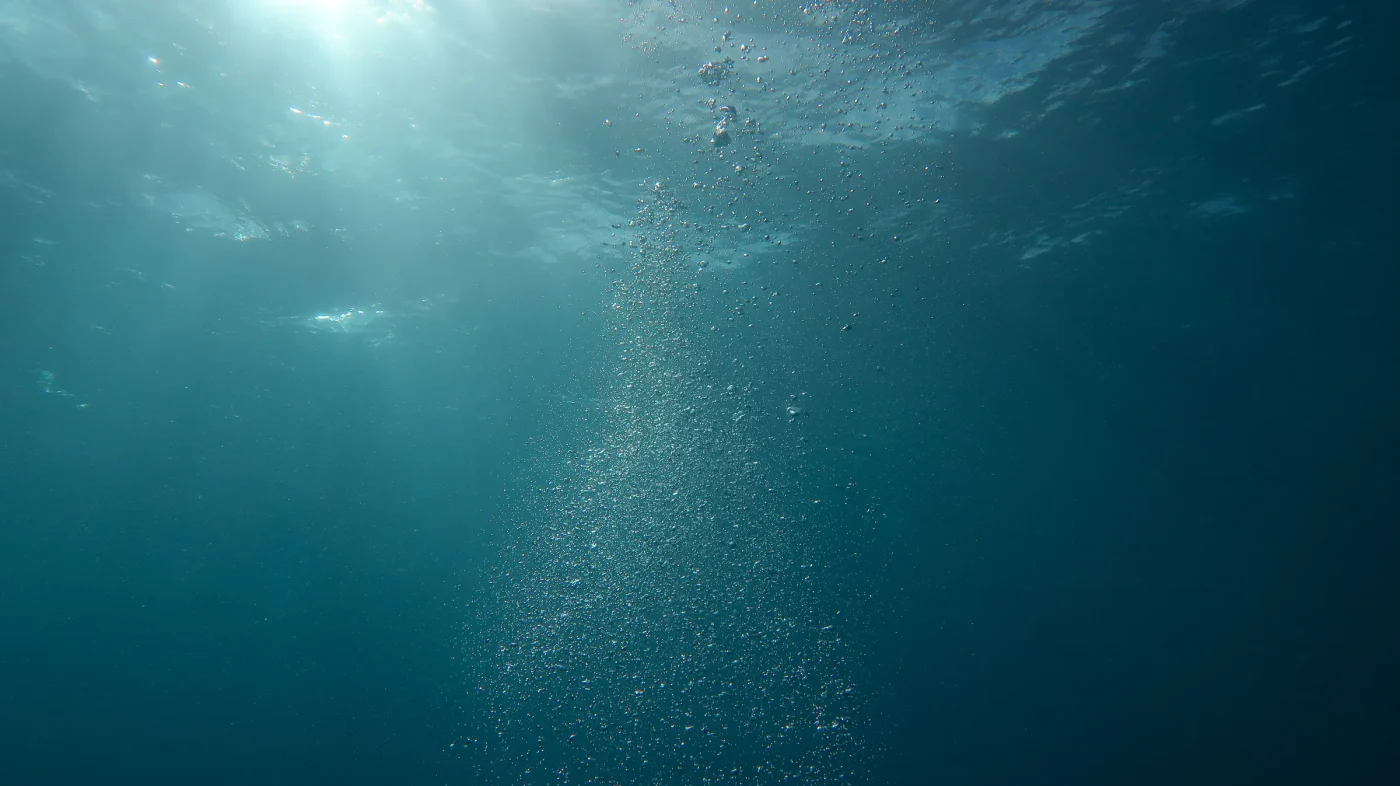 Cosa scatena il Super El Niño nelle profondità marine?