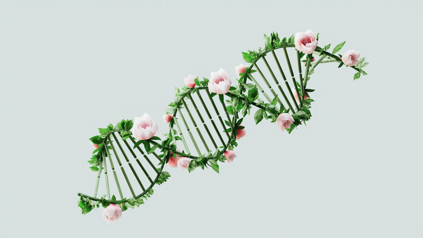 Che cos'è il microbioma: la biblioteca genetica