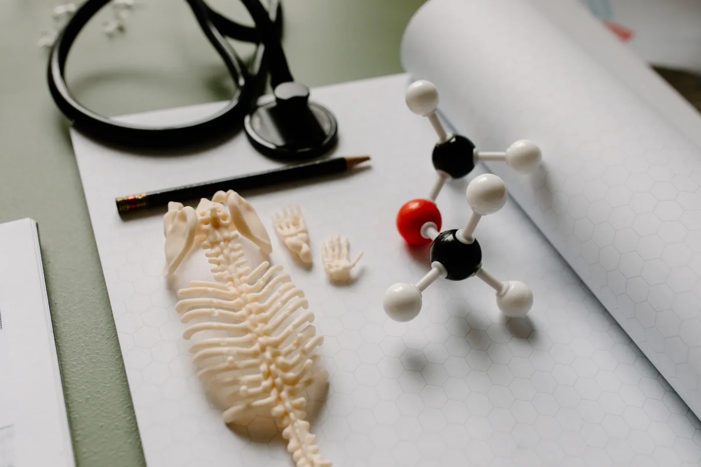 Come funziona CRISPR-Cas9: la combinazione tra RNA guida ed enzima forbice