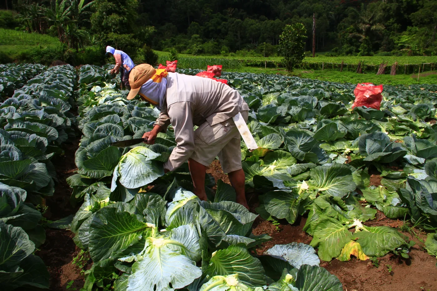 L'arte della terra: la collaborazione storica con Slow Food