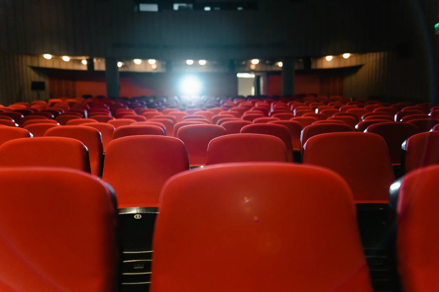 Cosa è successo sul red carpet e sul palco dell'Auditorium