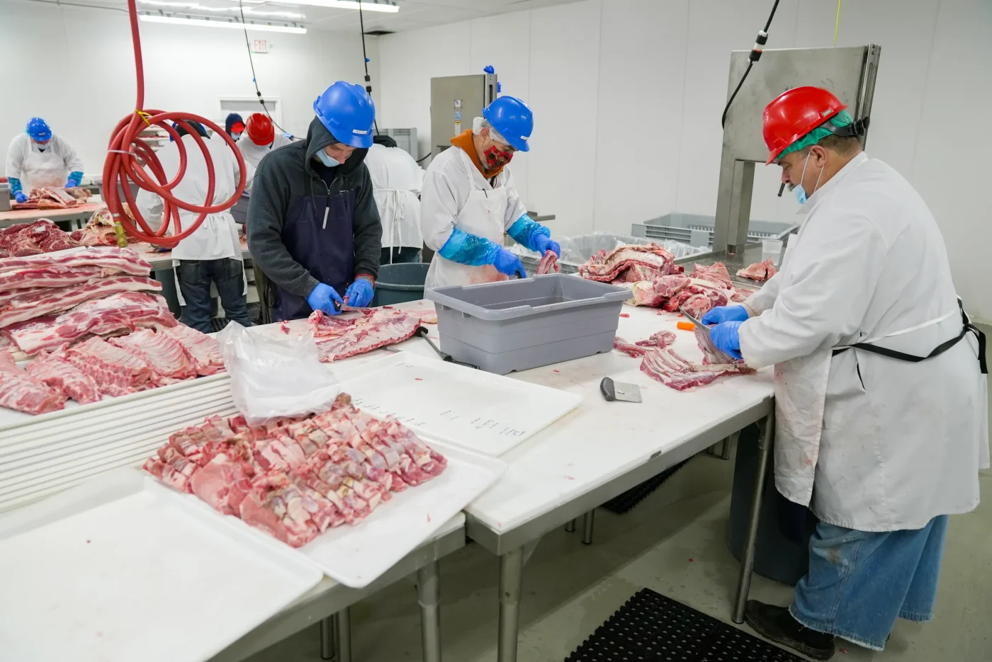 Il nodo etico e le barriere normative sui novel food