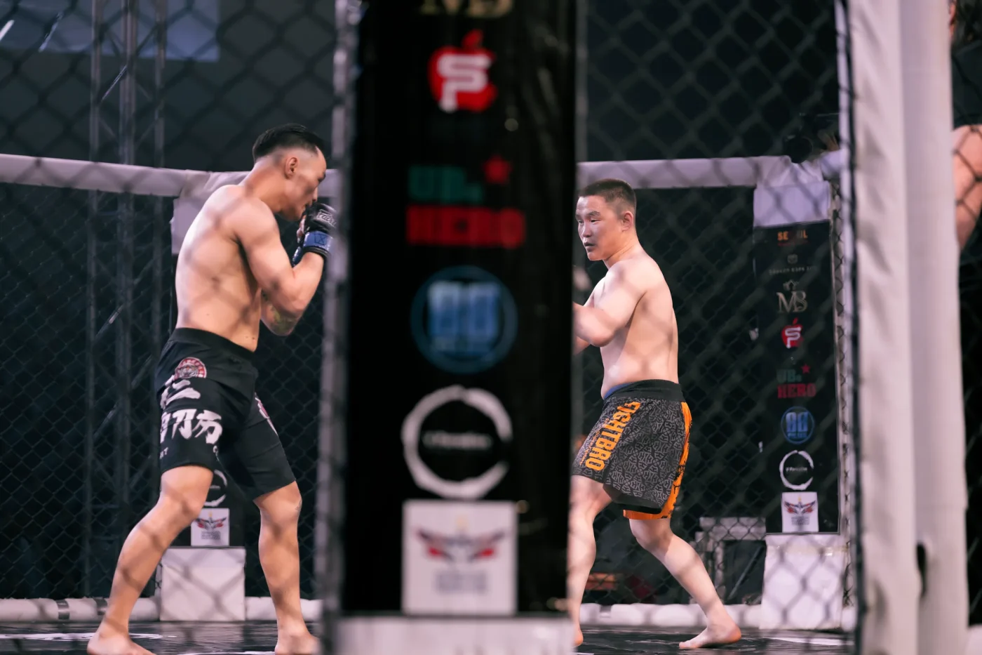 Championship Stakes Escalate Under the Lights of Etihad Arena