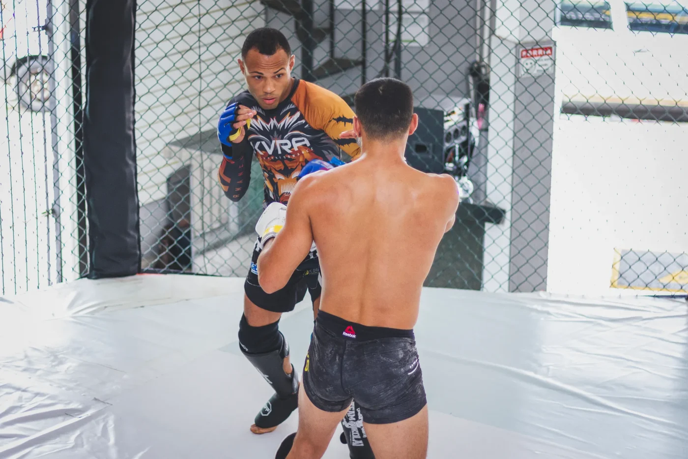 Two Epic Title Clashes Set to Ignite Madison Square Garden