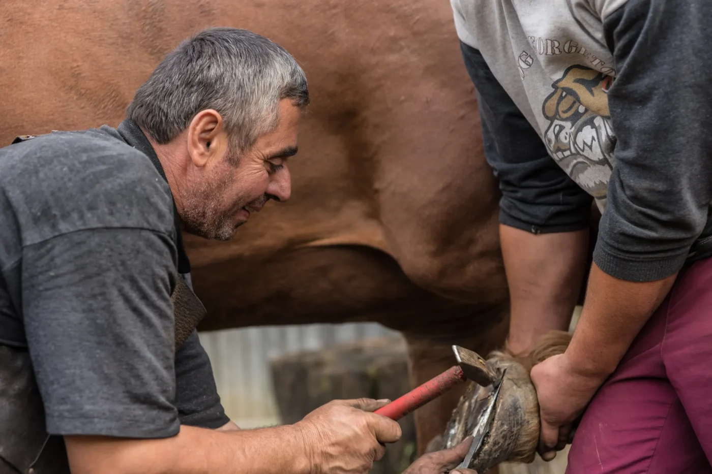 La telefonata di Elisa Isoardi e il ferro di cavallo