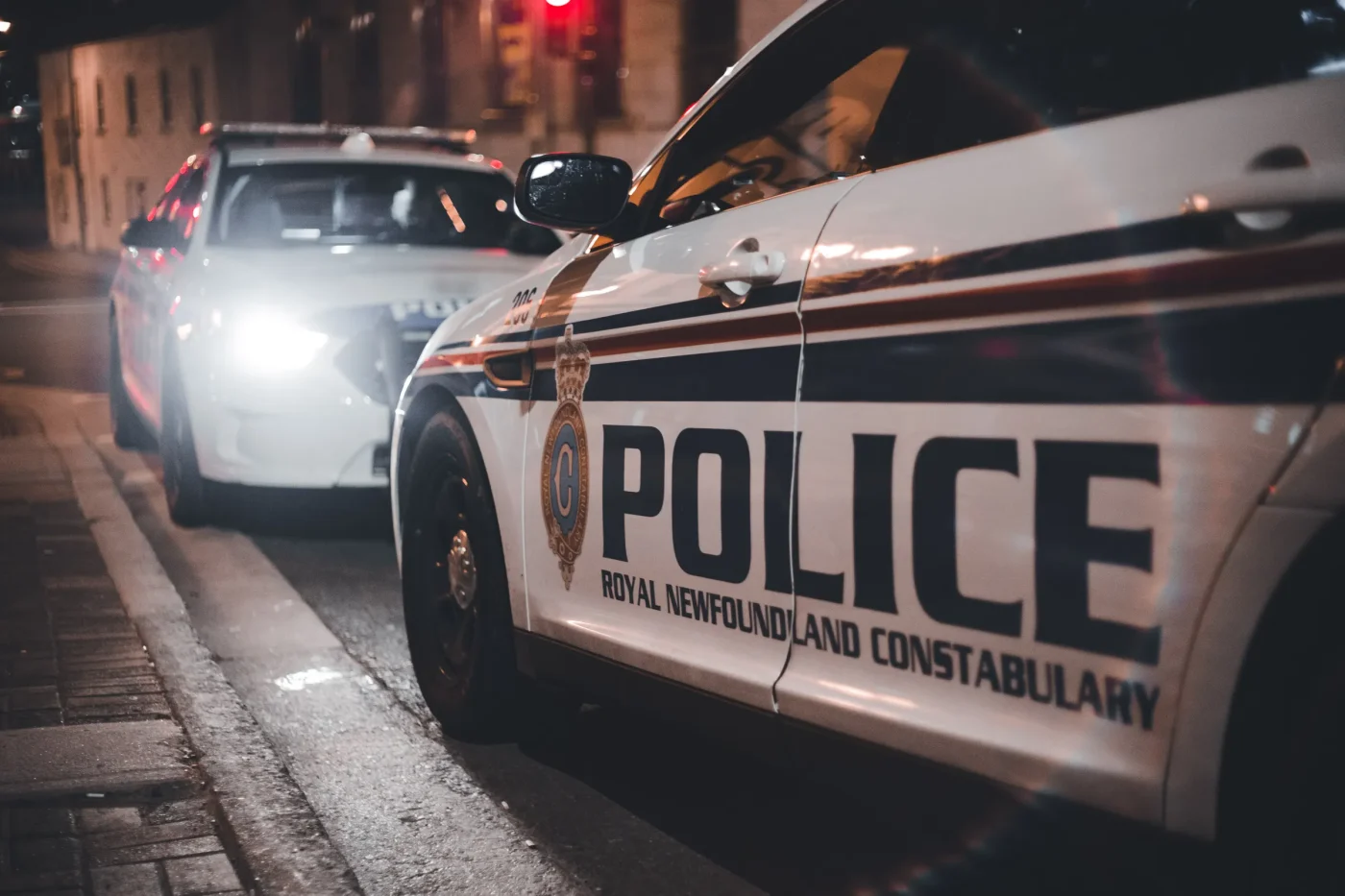 Il dibattito sulla sicurezza e la gestione delle misure cautelari