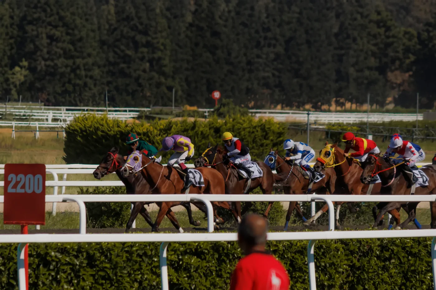 The Syndicate Scheme: How Court Time Turned Into Staged Prop Bets