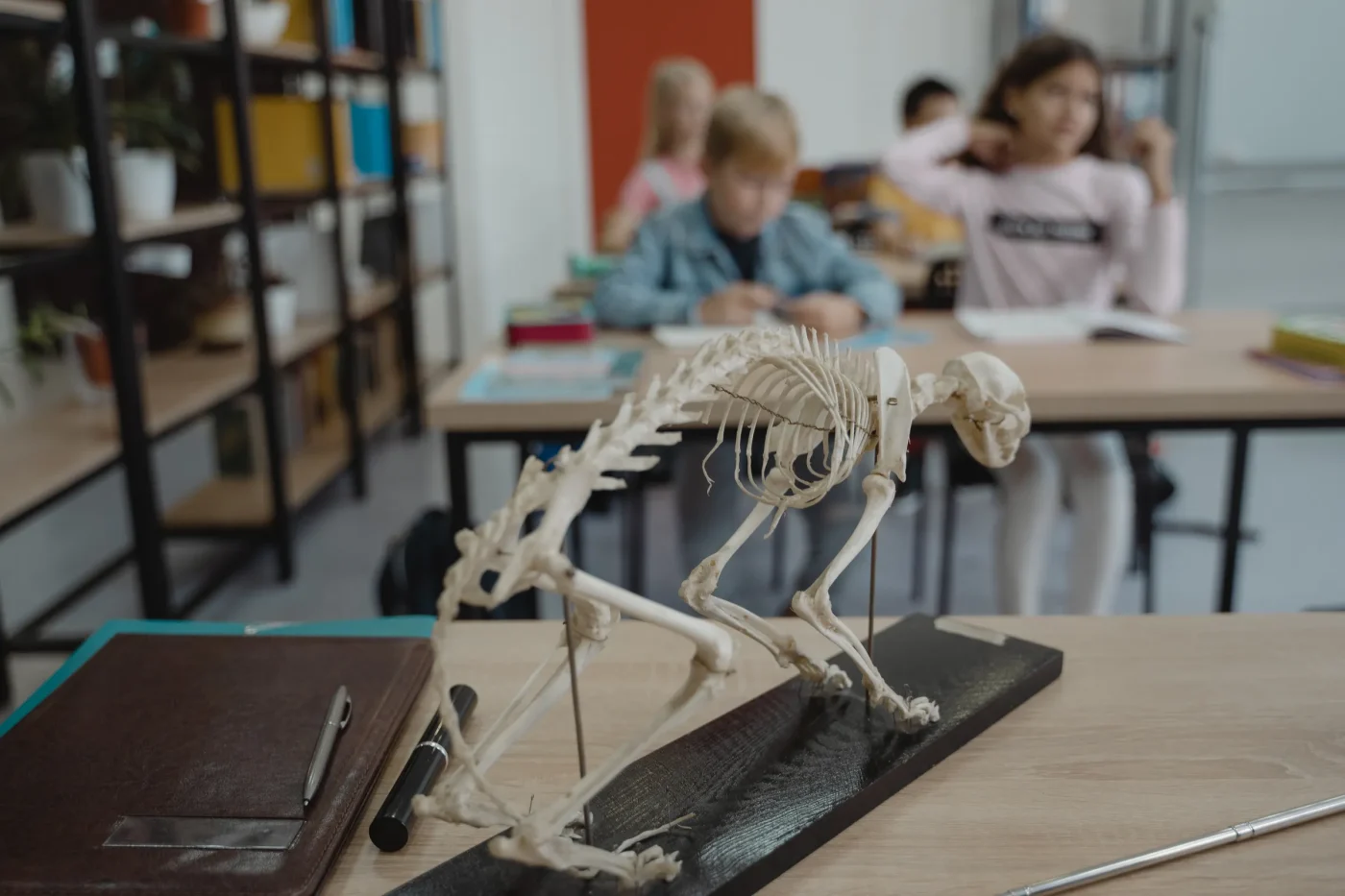 Modalità di accesso: scuole, eventi e pubblico