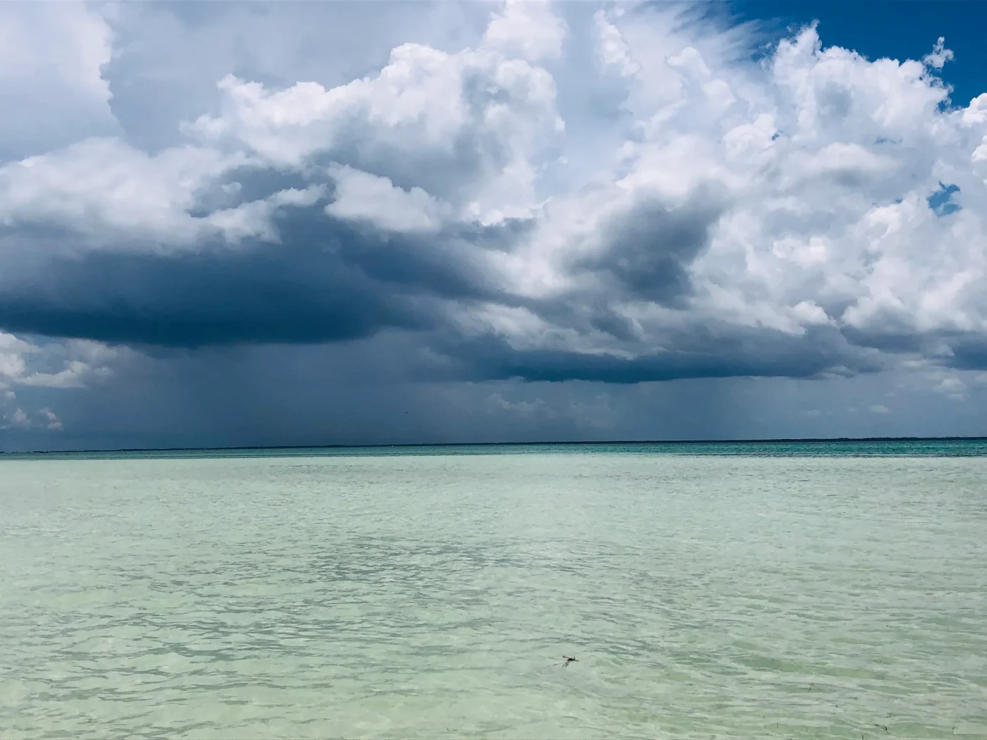 Mito o realtà: El Niño è soltanto un temporale tropicale passeggero?