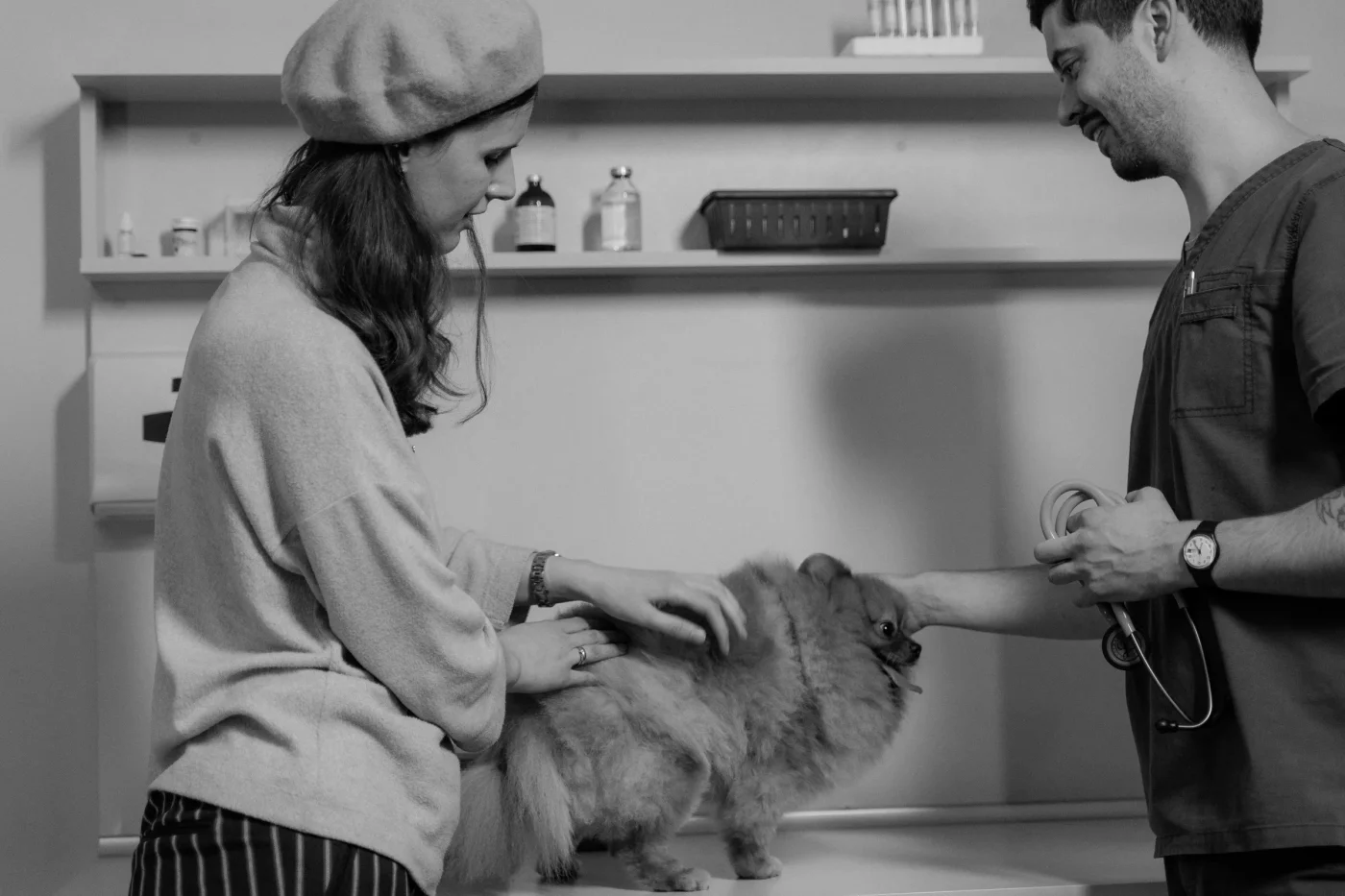Il quadro clinico veterinario e l'assenza di microchip