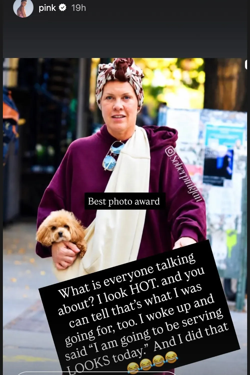 Pink carried her small puppy in a stylish handbag during a stroll in New York City.