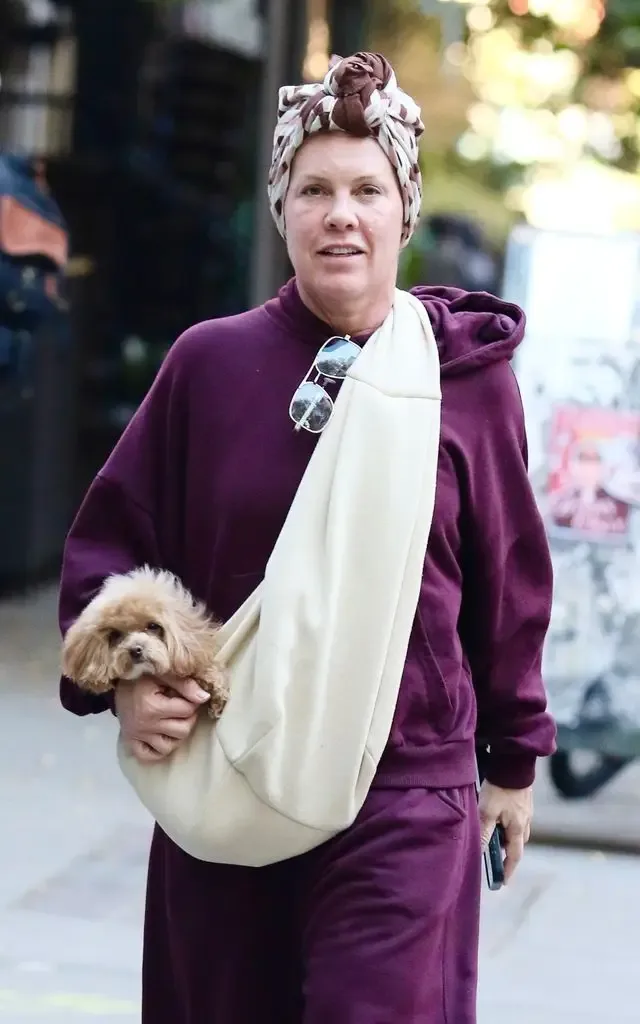 Pink walking in NYC with a dog in a sling
