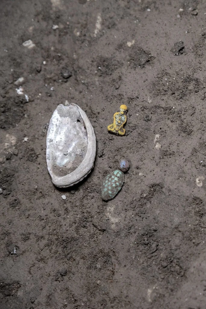 Pompeii wardrobe found untouched since 79 CE holds a woman