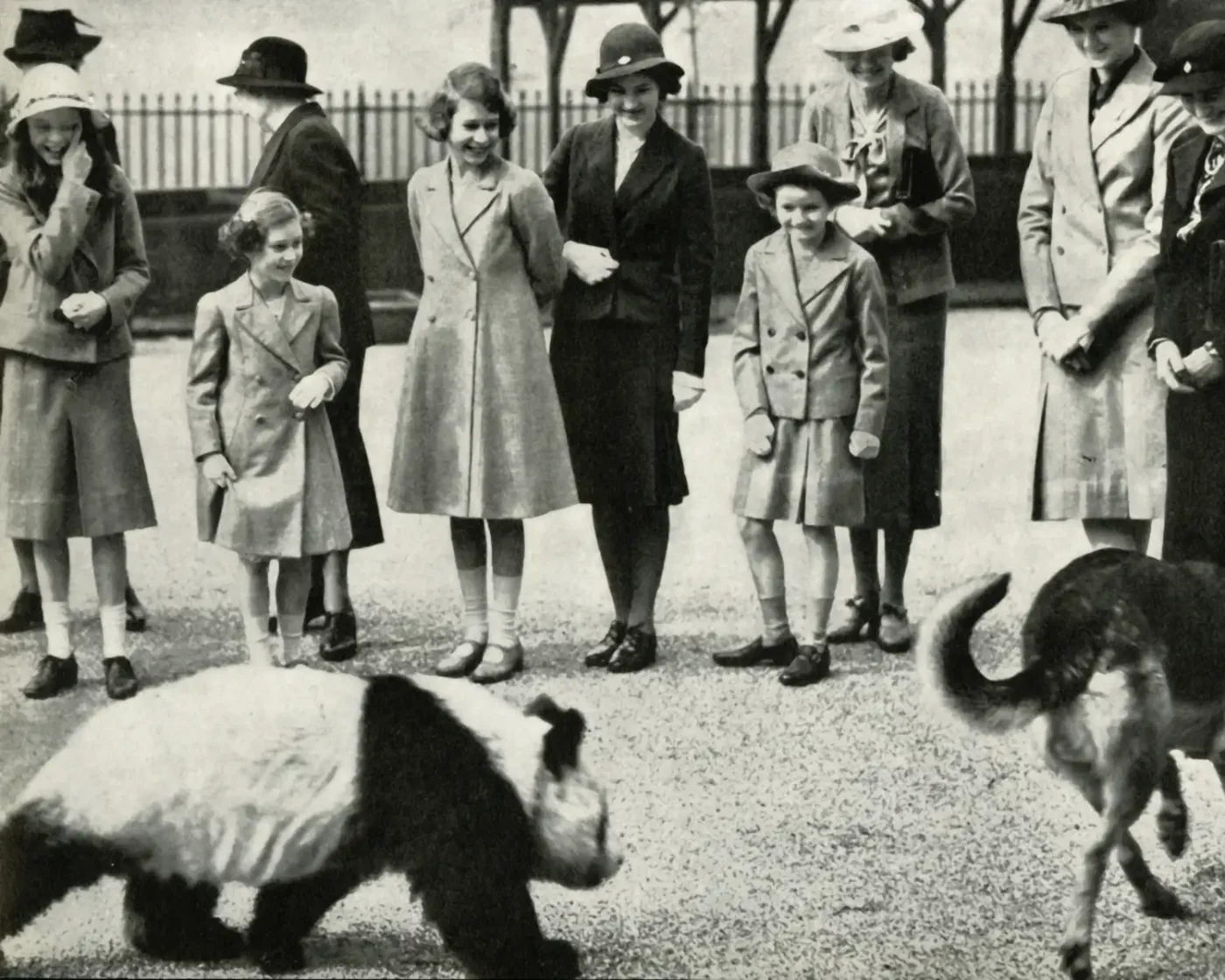 Princess Elizabeth (C) watches a baby panda at the London Zoo, 1939.