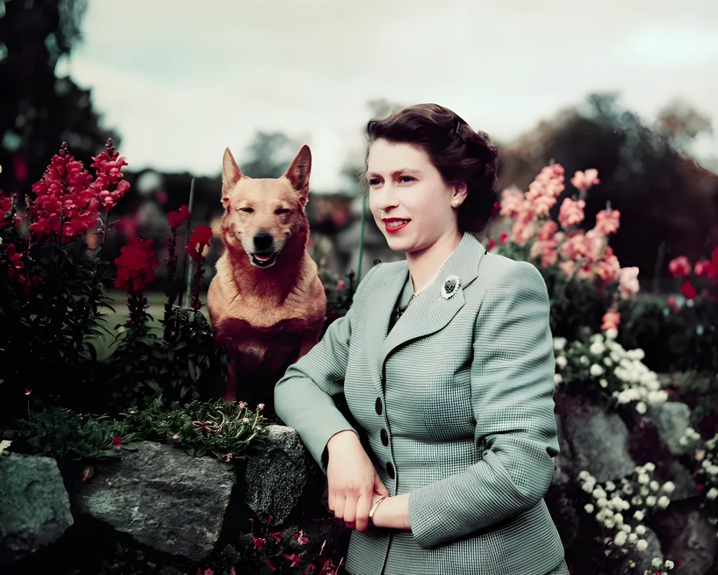 Queen Elizabeth II of England at Balmoral Castle with one of her Corgis, 28th September 1952.