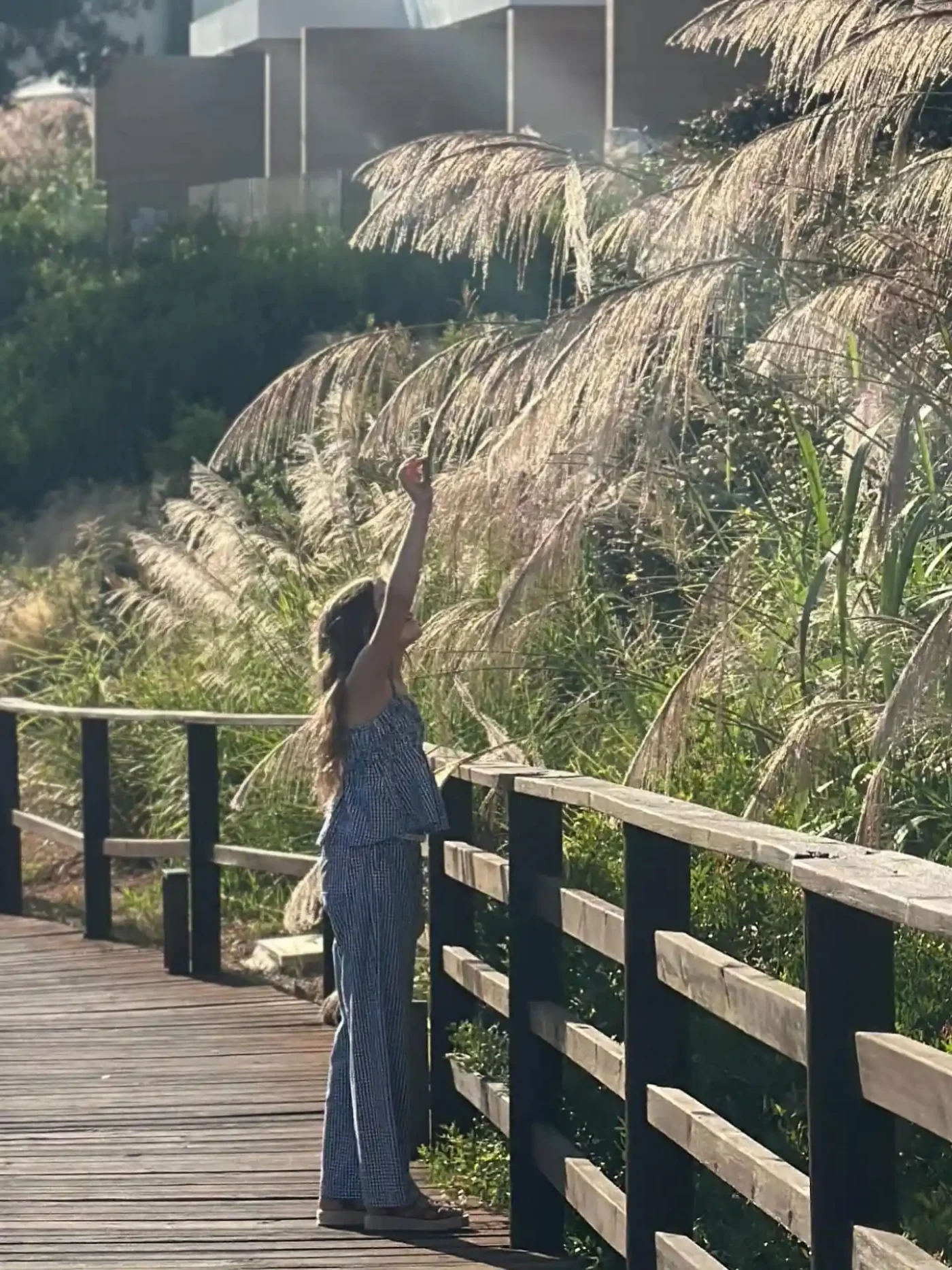 Rachel Bilson daughter Briar