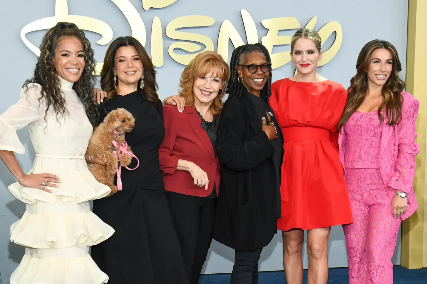 Sunny Hostin, Ana Navarro holding a dog, Joy Behar, Whoopi Goldberg, Sara Haines, and Alyssa Farah Griffin posing together on a red carpet.