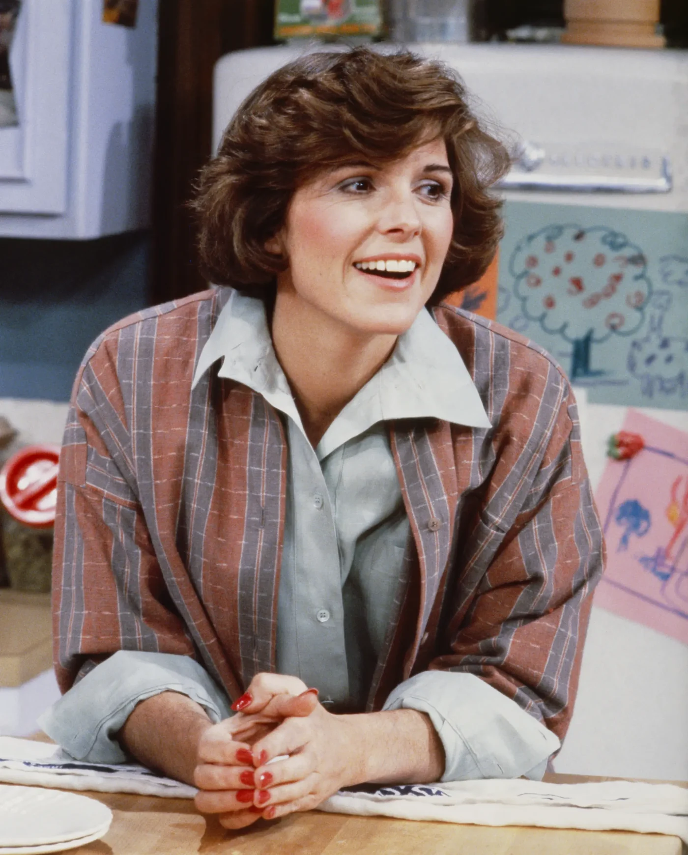 Susan Saint James as Kate McArdle in the television show Kate & Allie.