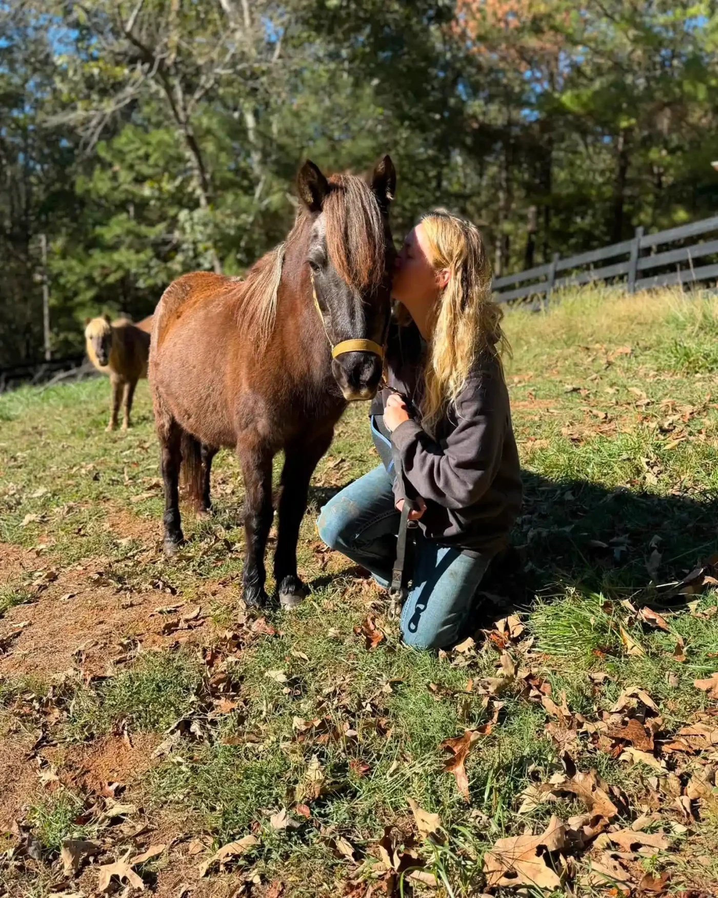 war angel farms Rescues Horses from Kill Pens While Bringing ‘Healing’ to People