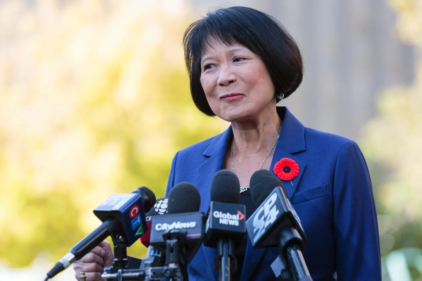 What neighbourhood voting results tell us about Olivia Chow